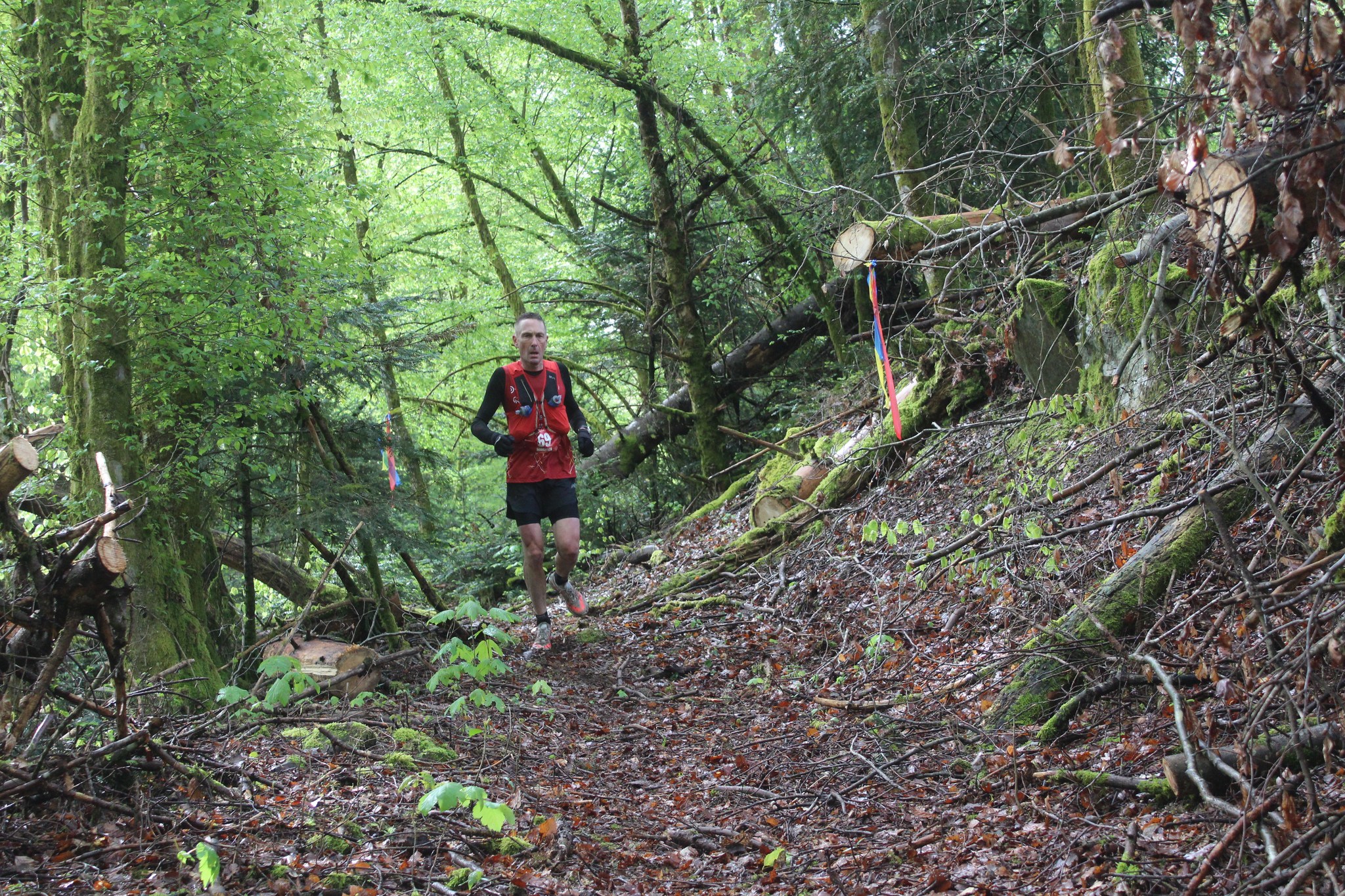 Image du trail