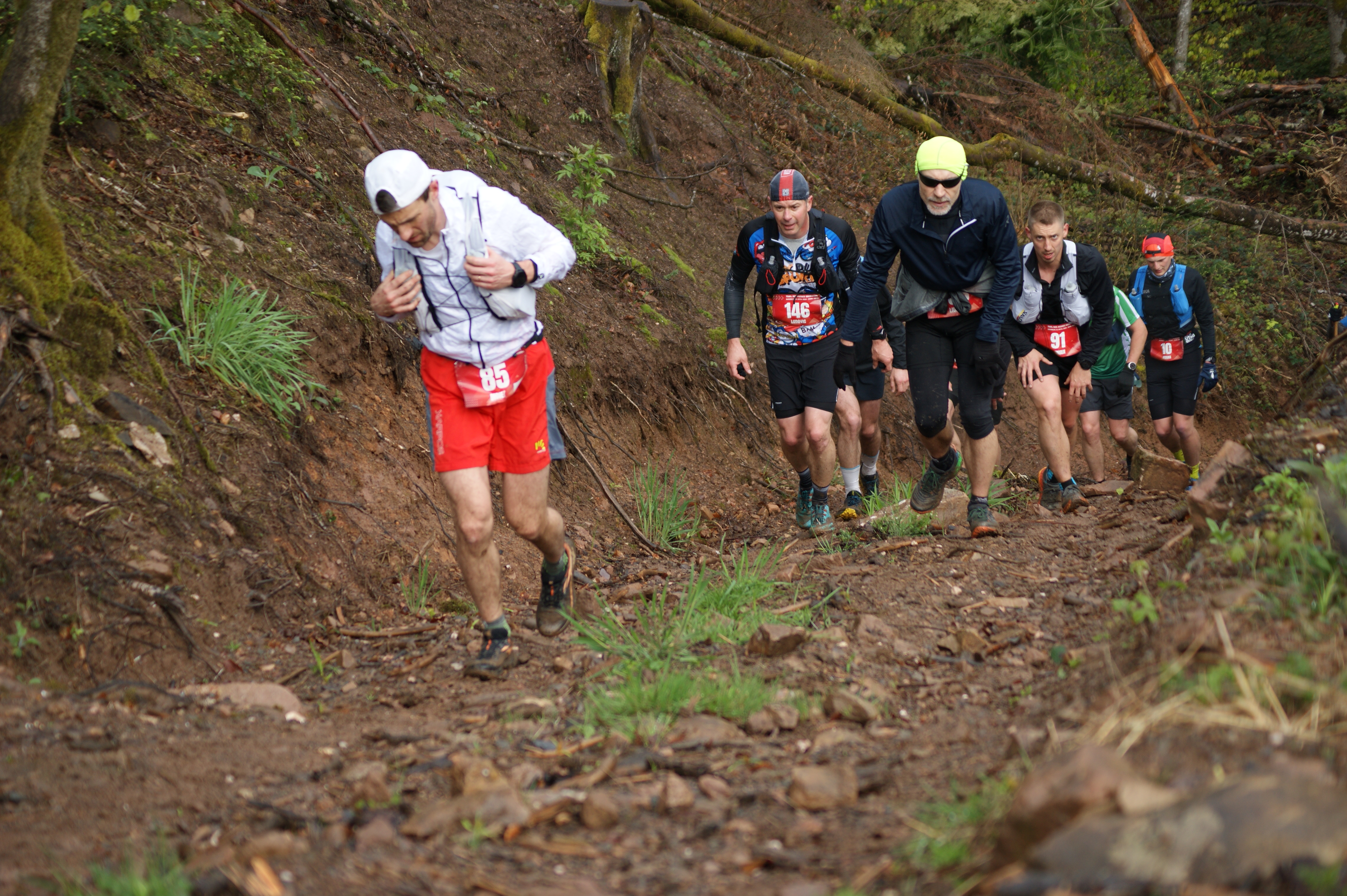 Image du trail