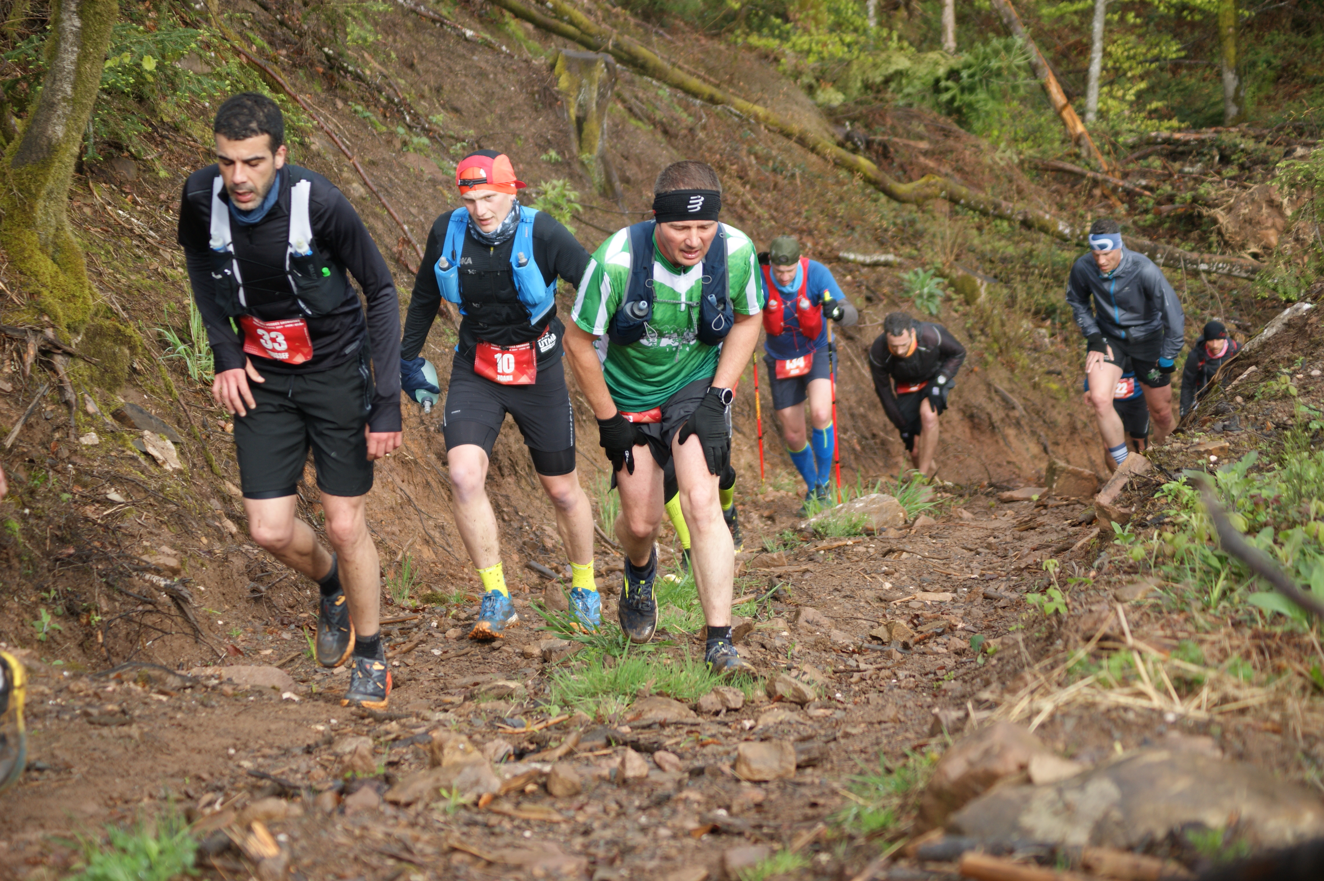 Image du trail