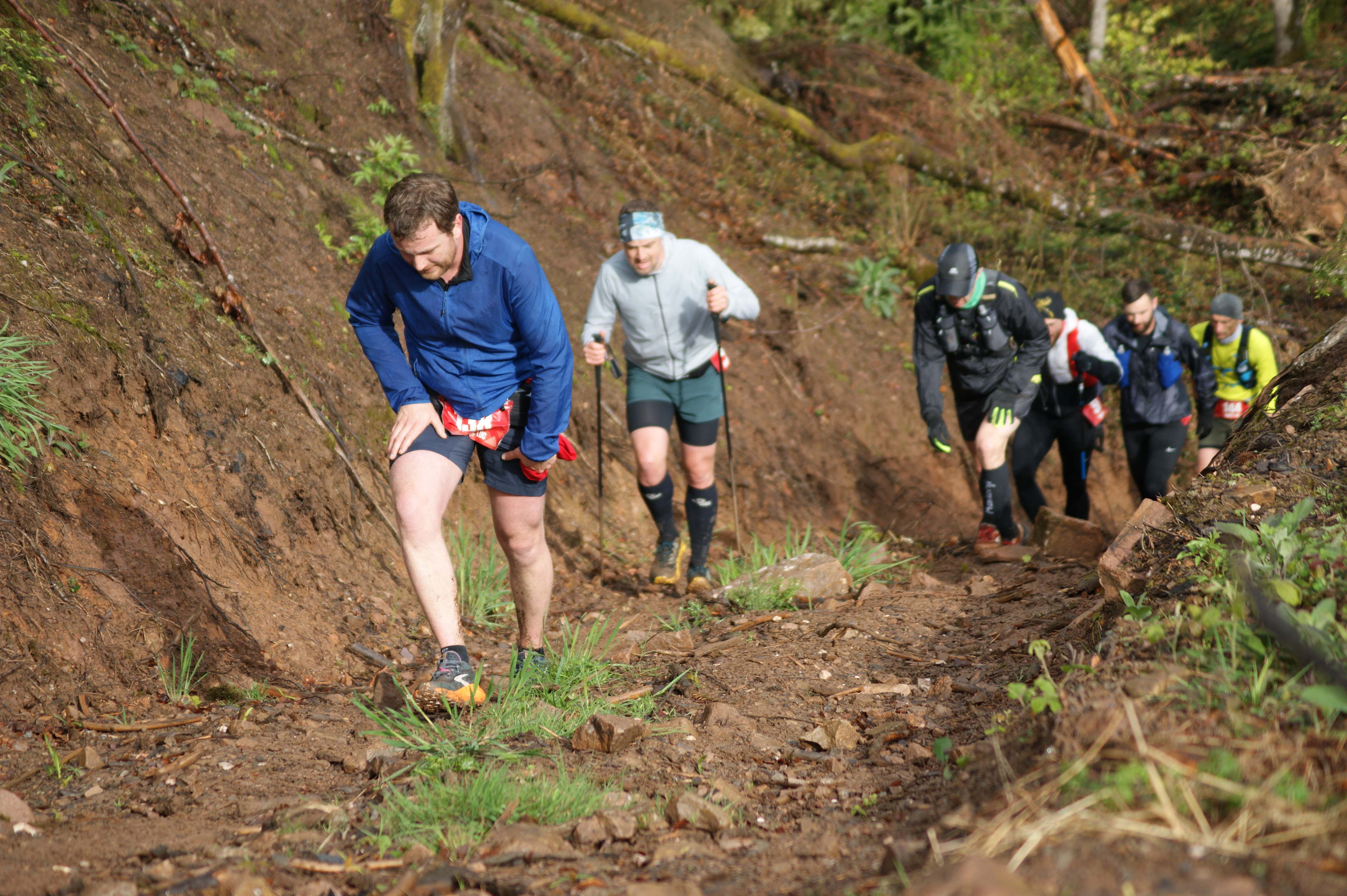 Image du trail