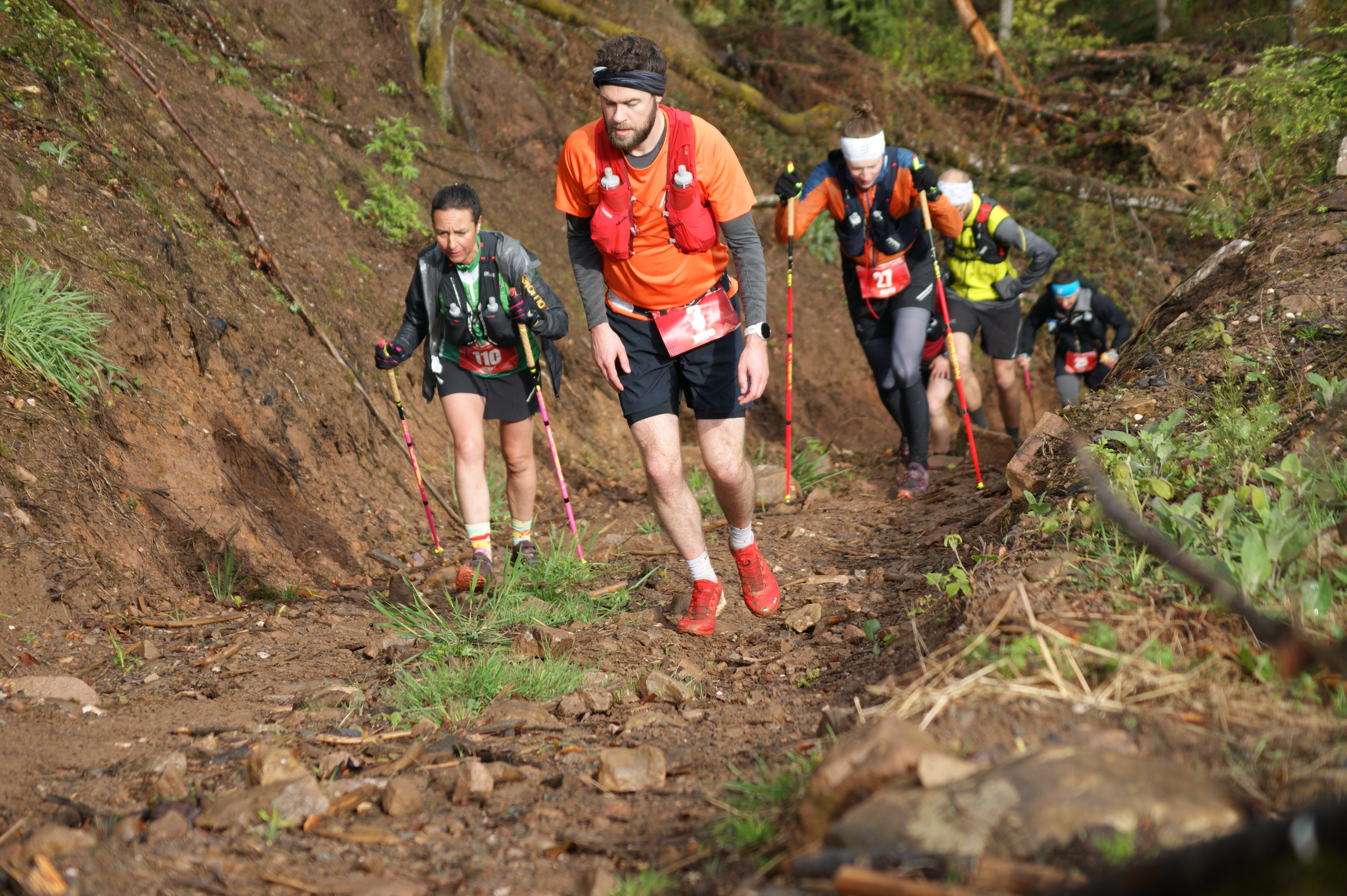 Image du trail