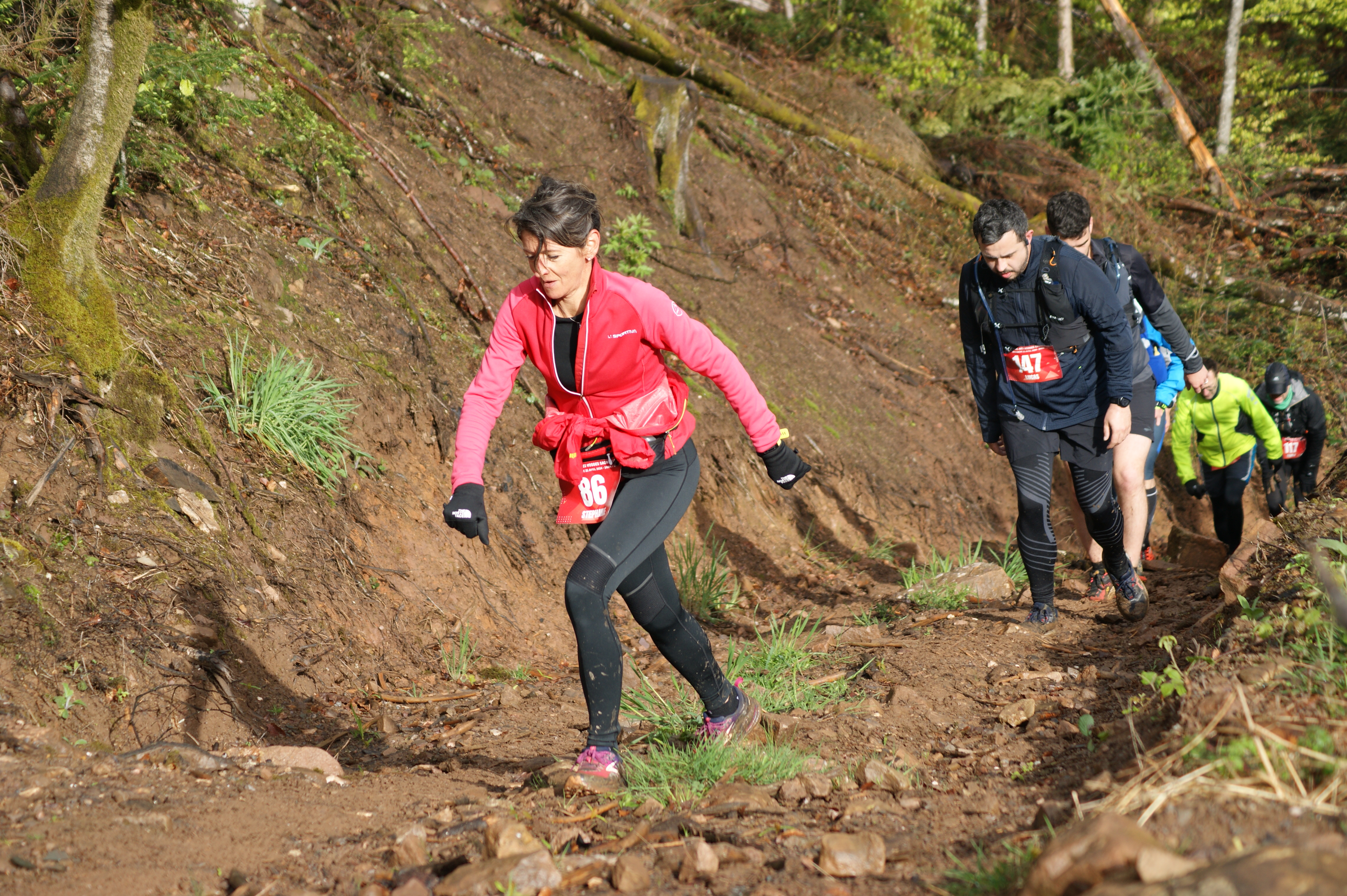 Image du trail