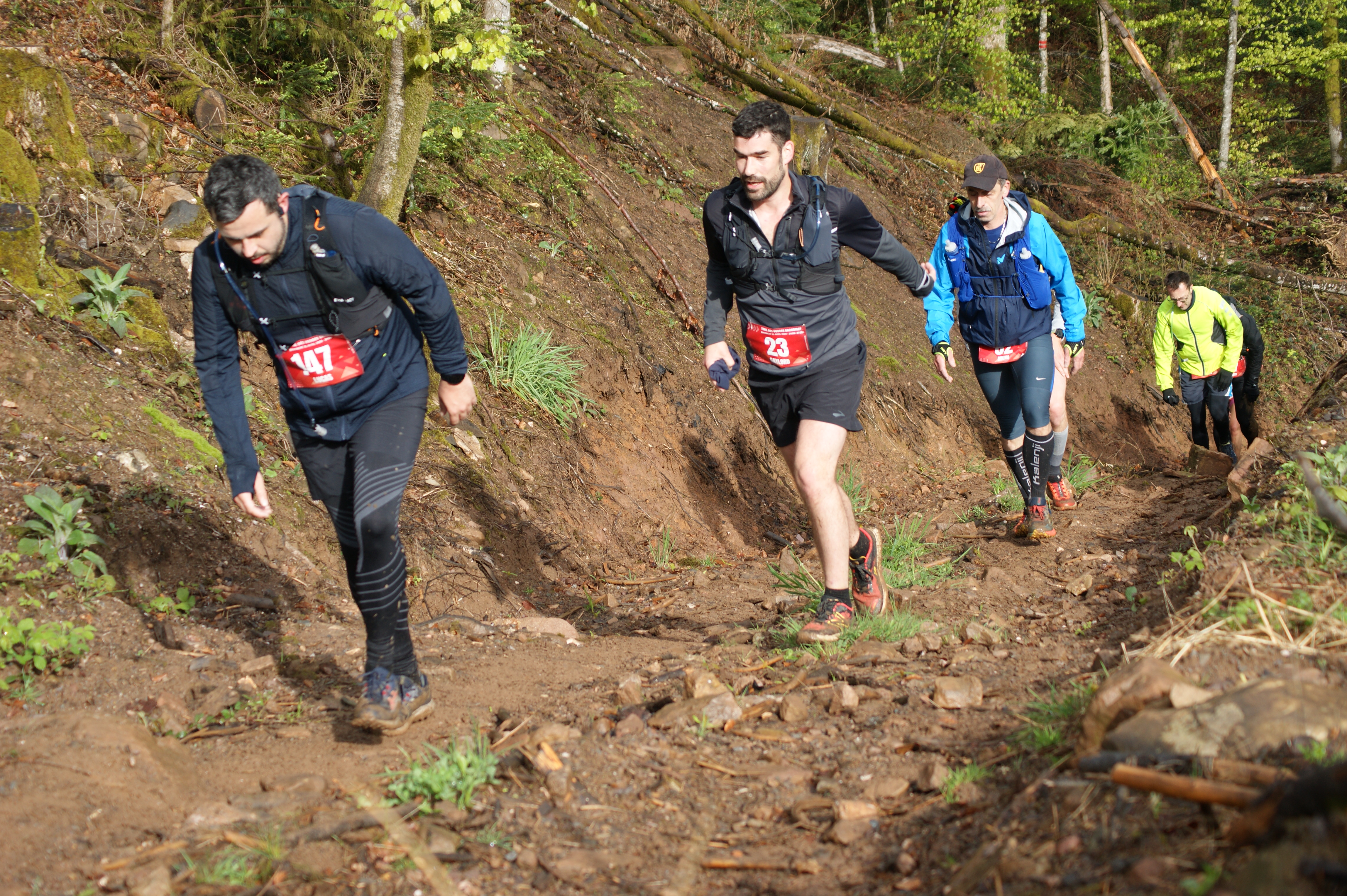 Image du trail