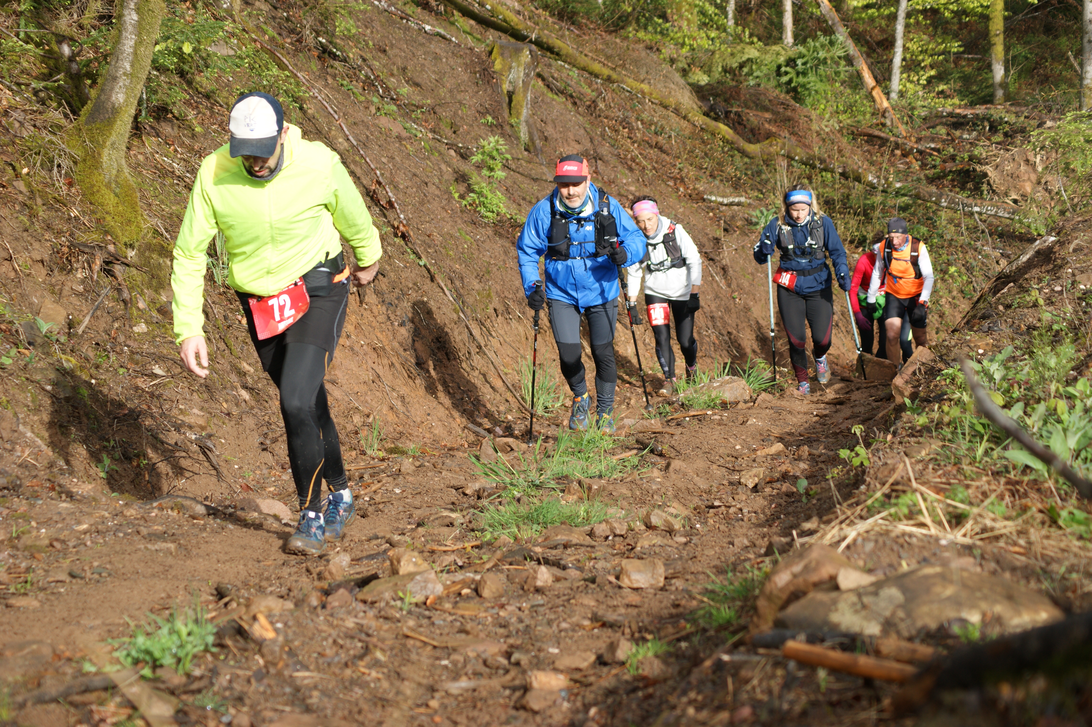 Image du trail