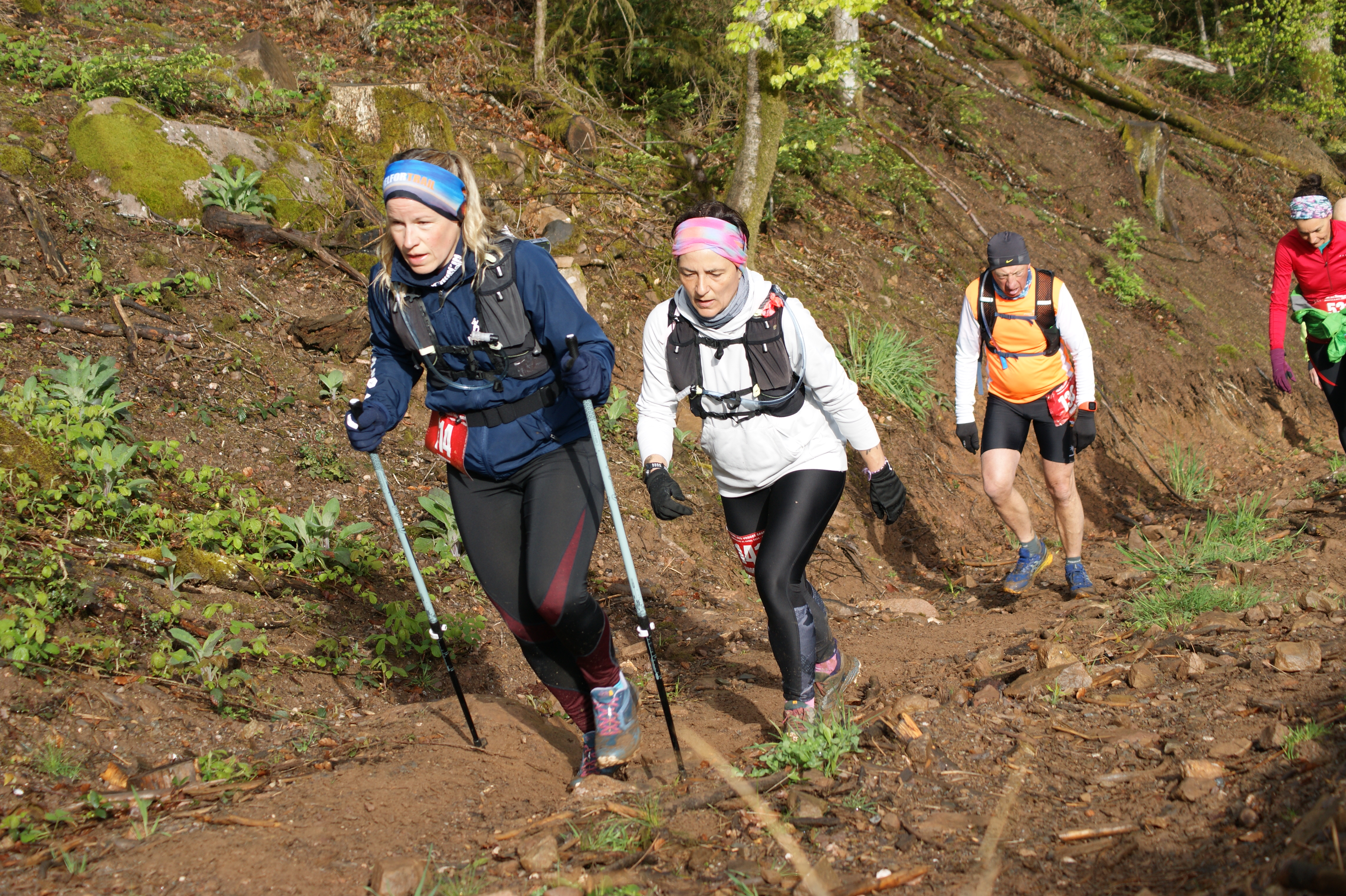 Image du trail