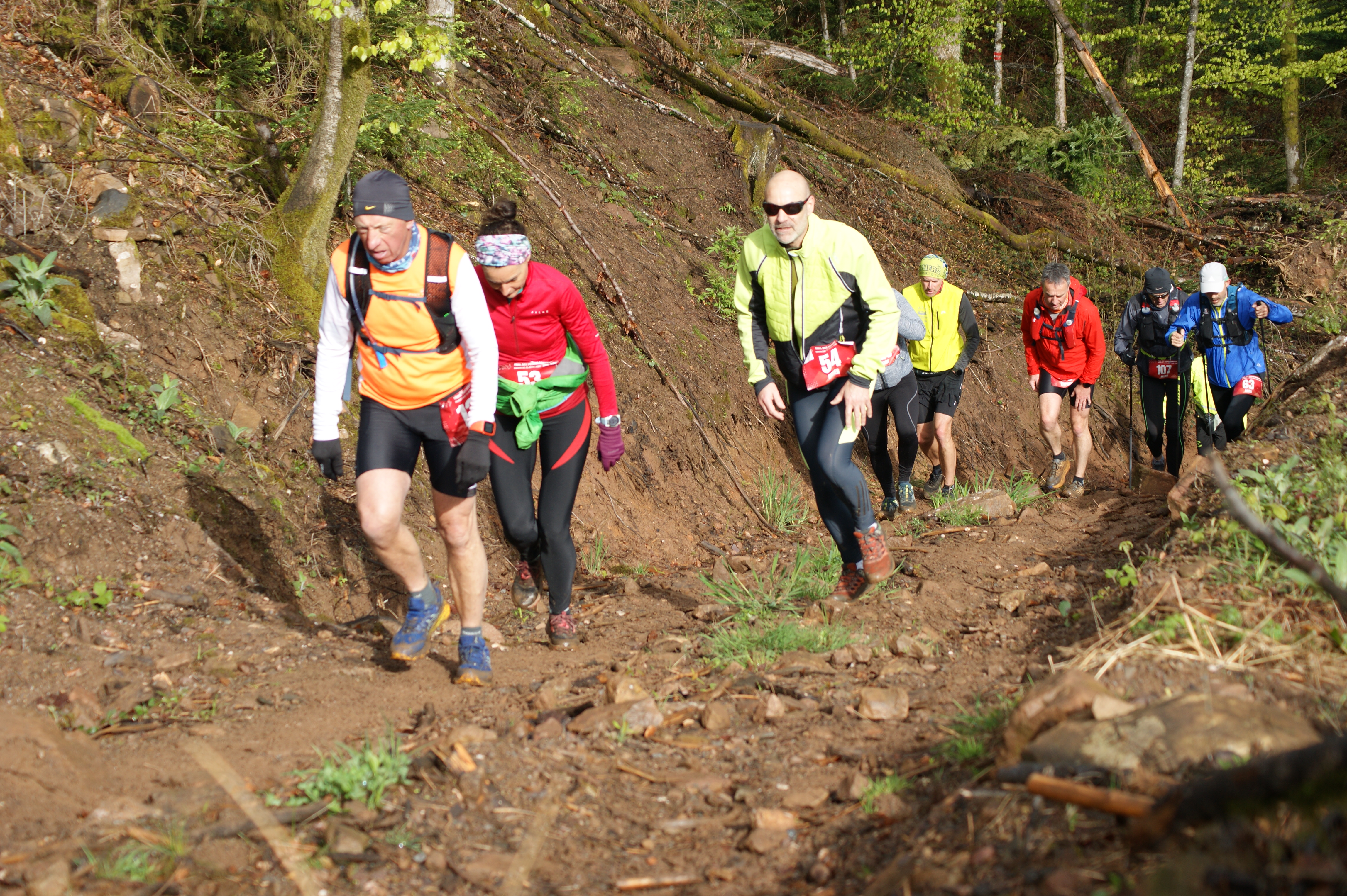 Image du trail