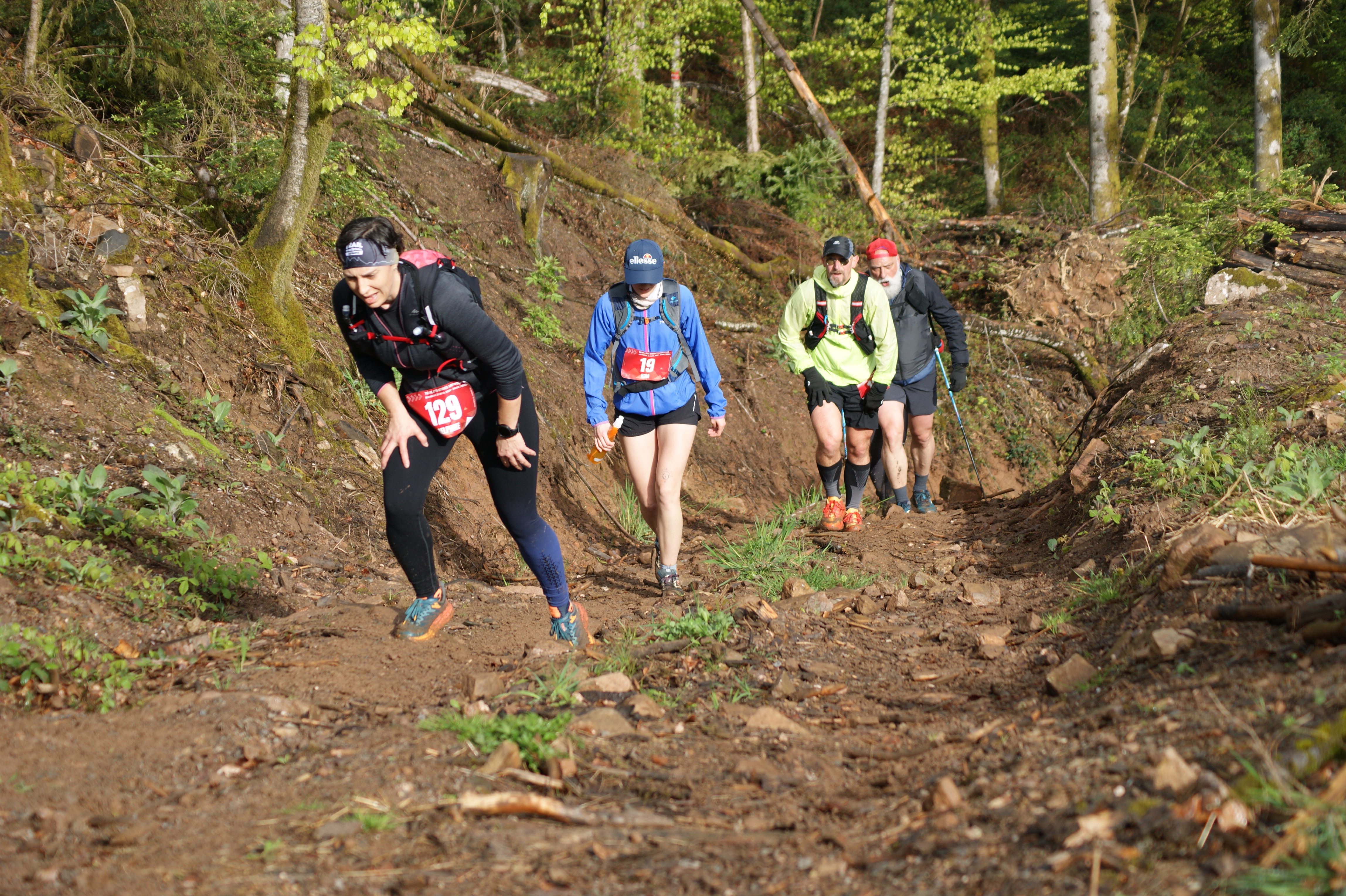 Image du trail