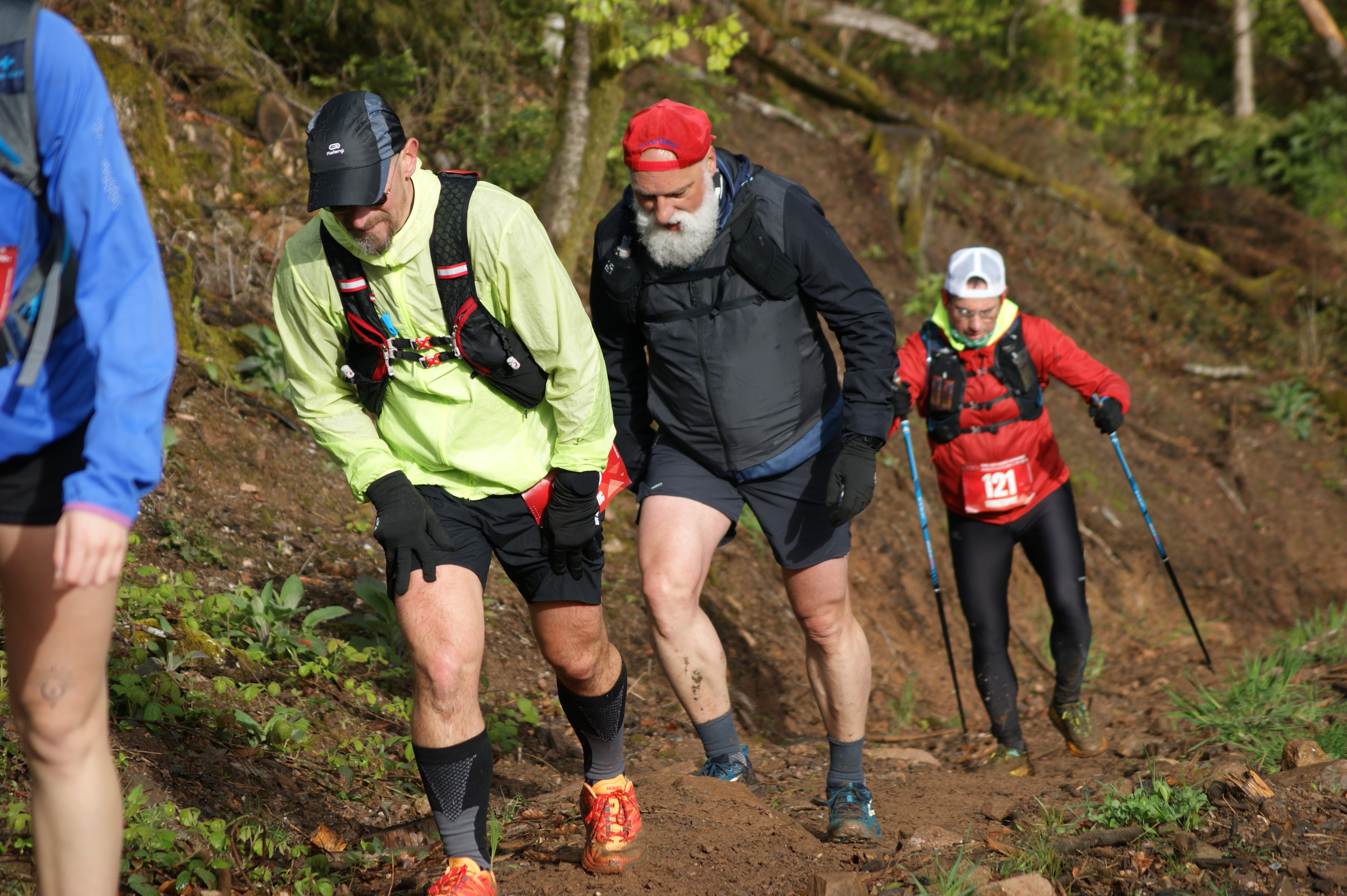 Image du trail