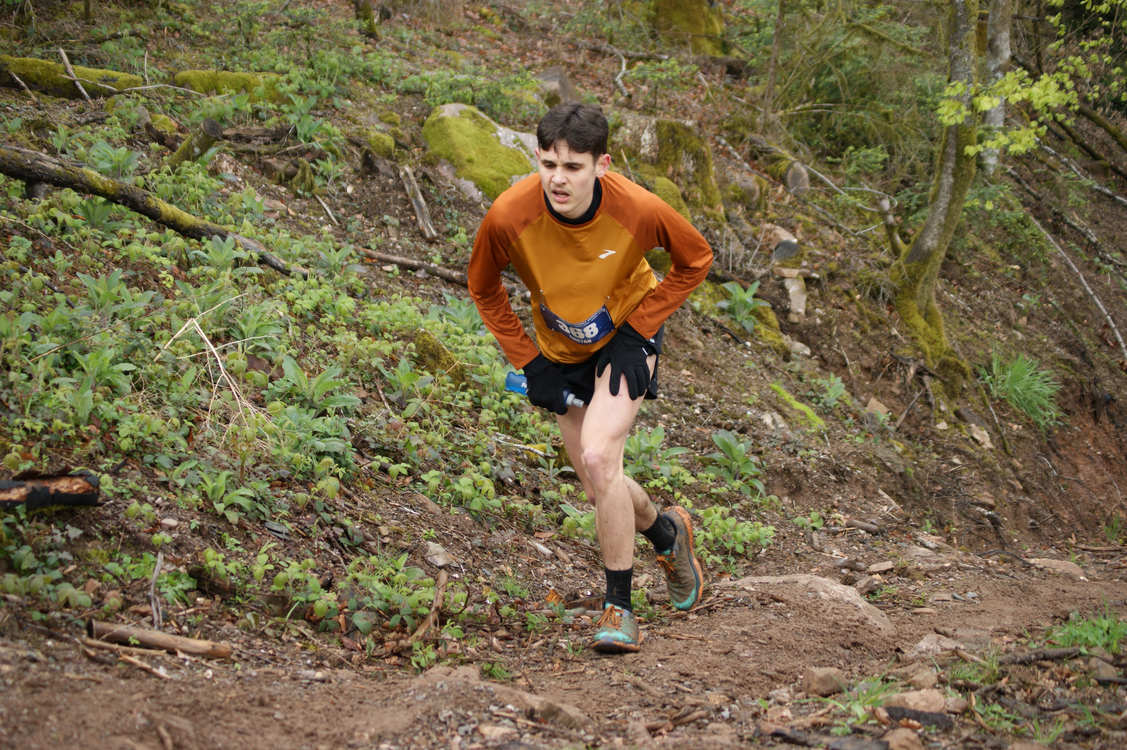 Image du trail