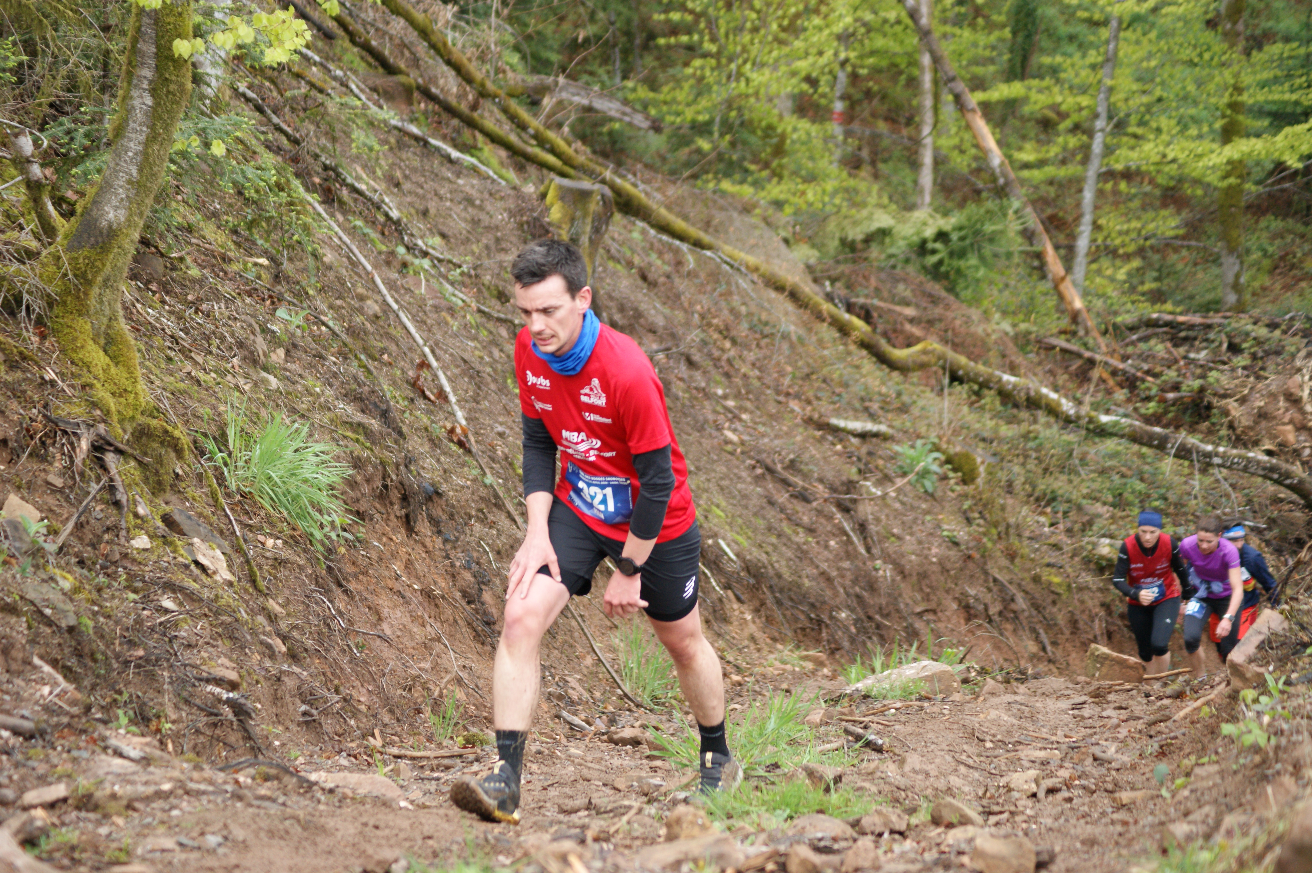 Image du trail