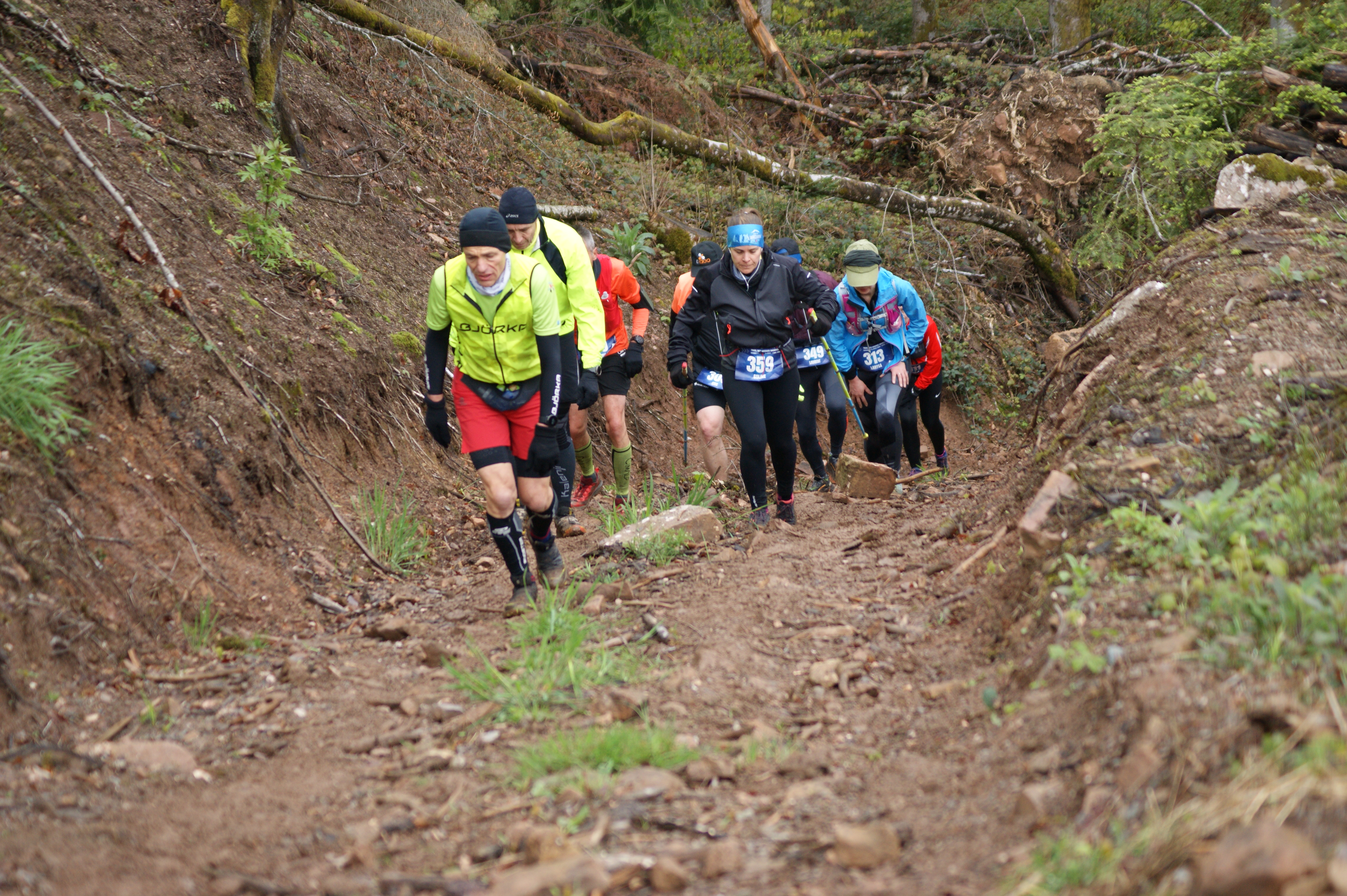 Image du trail