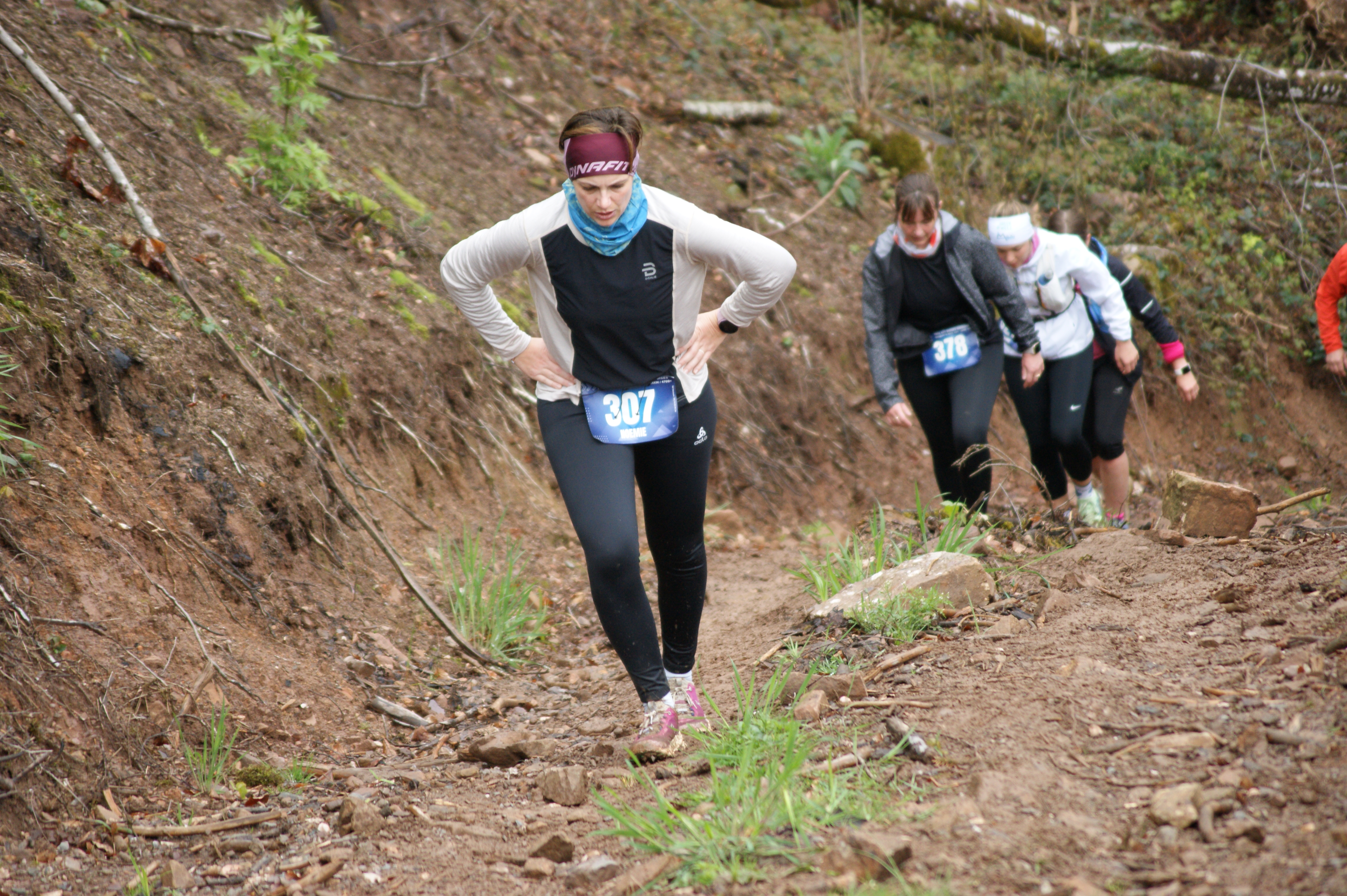 Image du trail