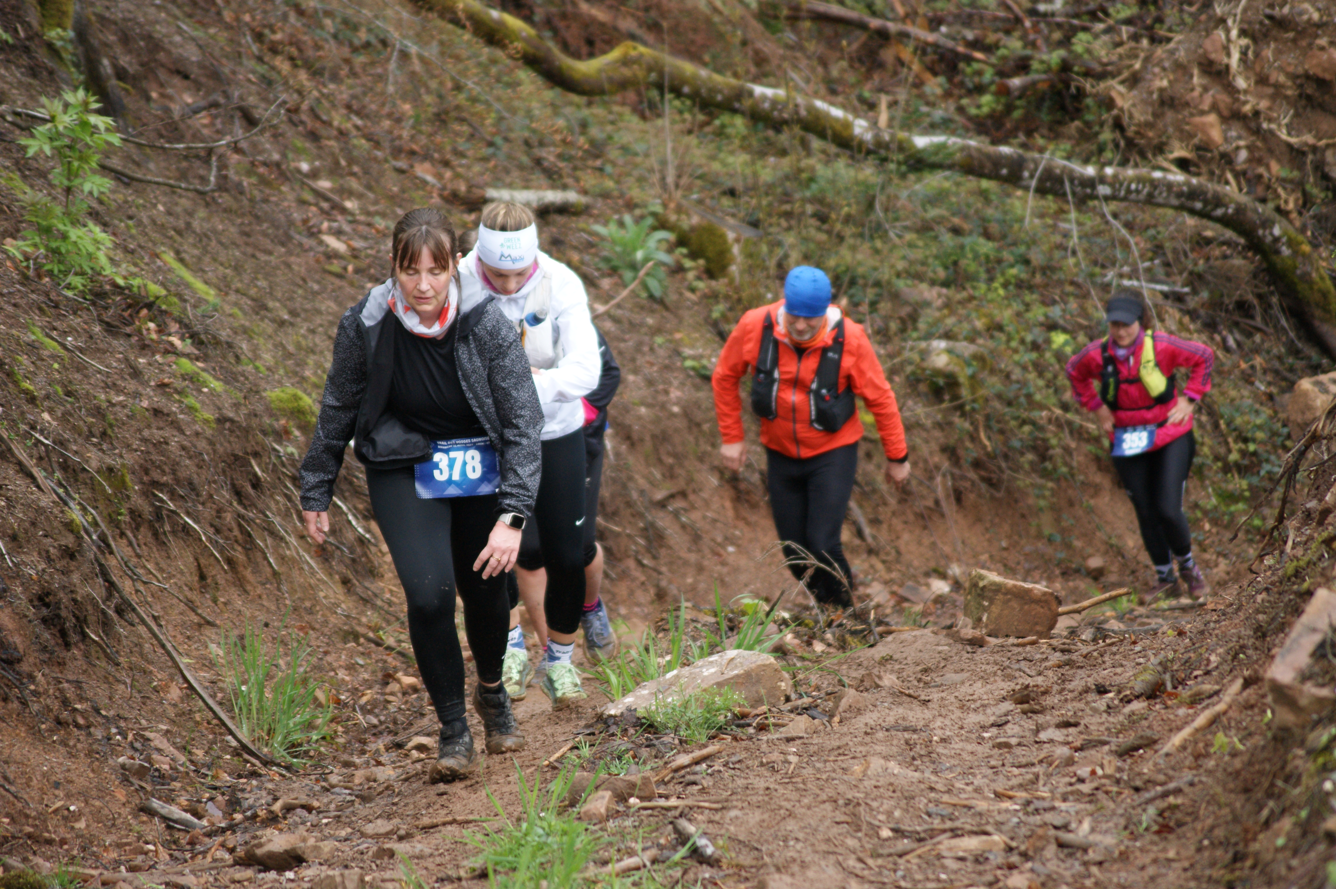 Image du trail