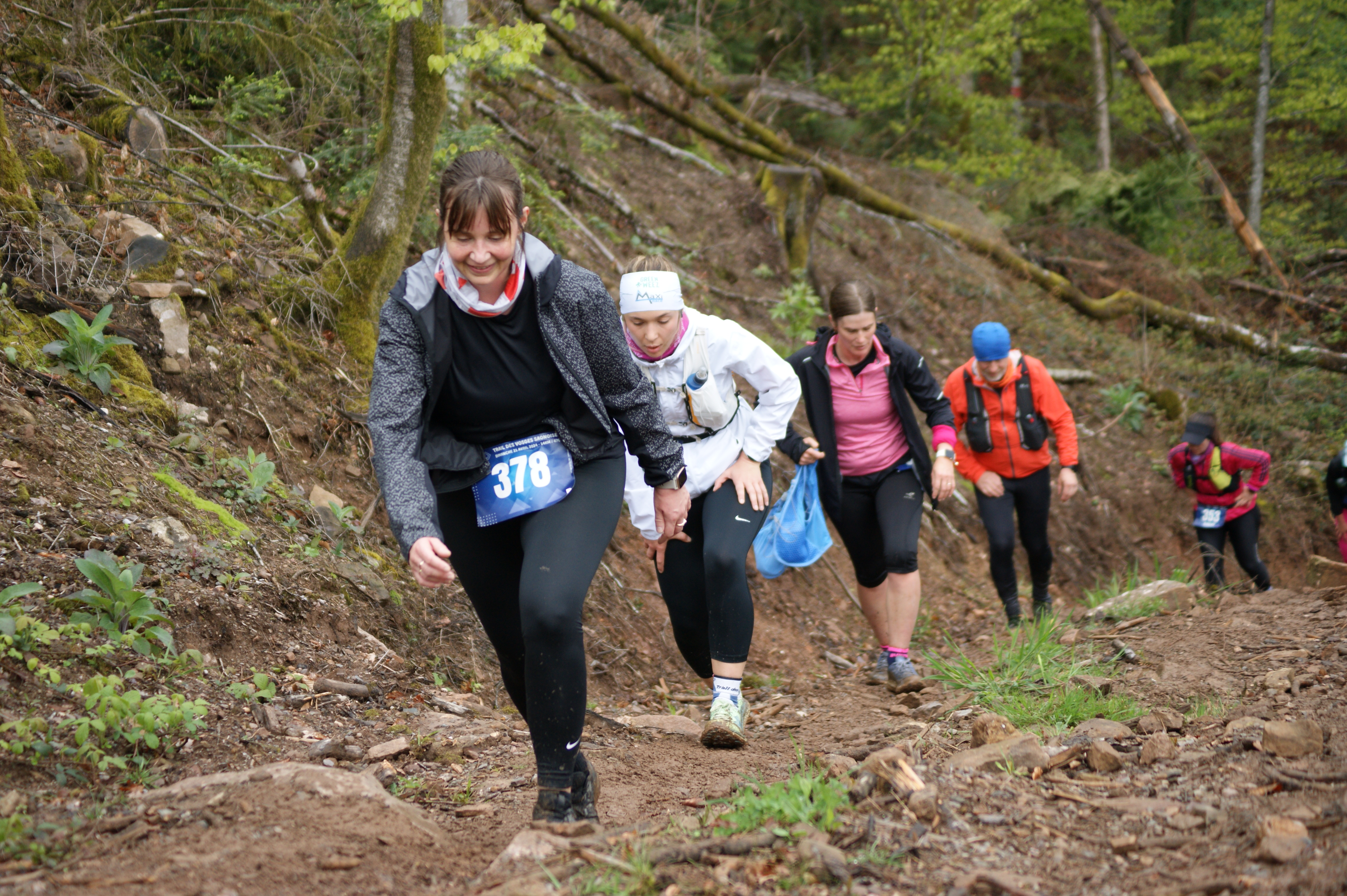 Image du trail