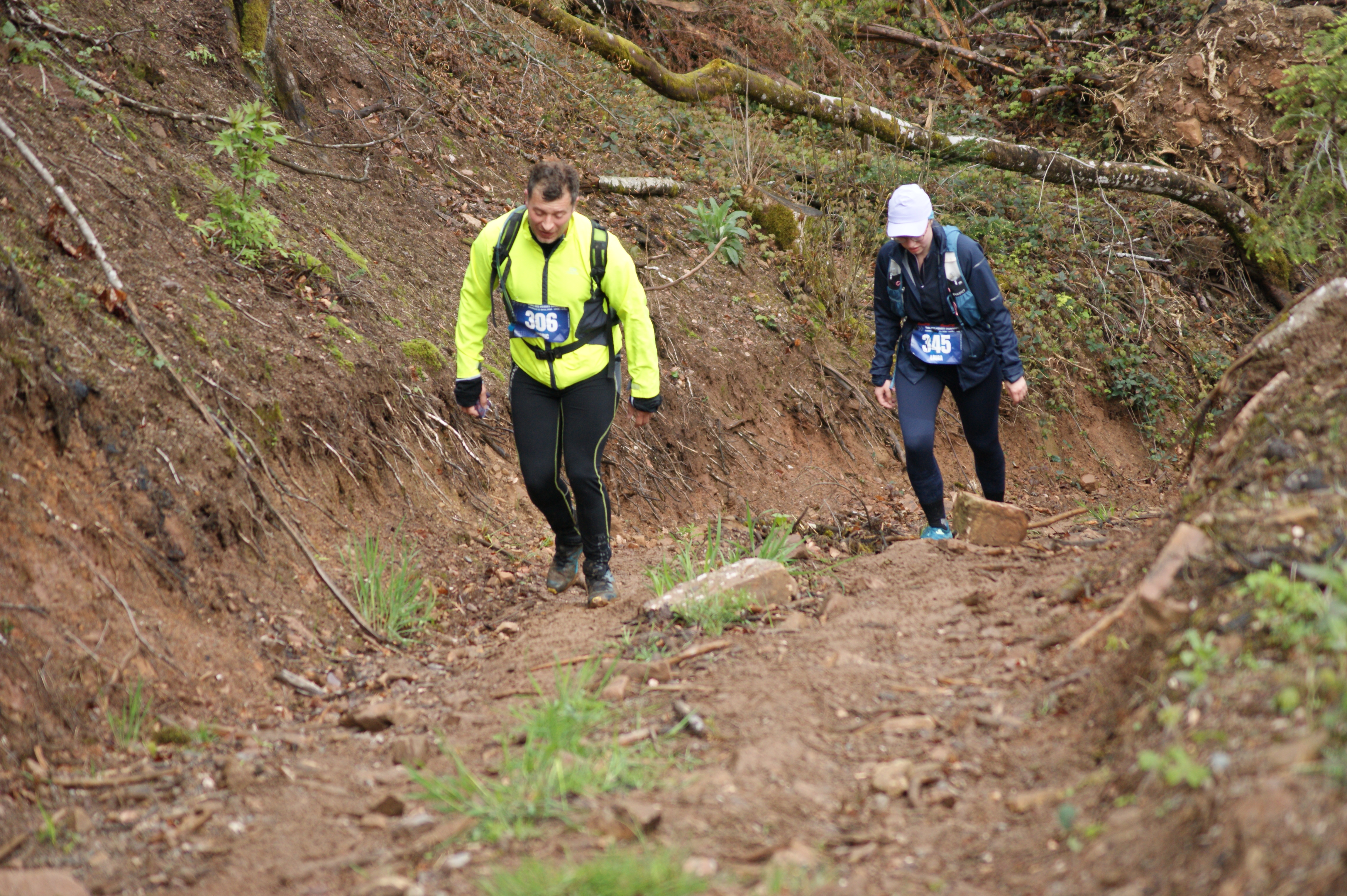 Image du trail