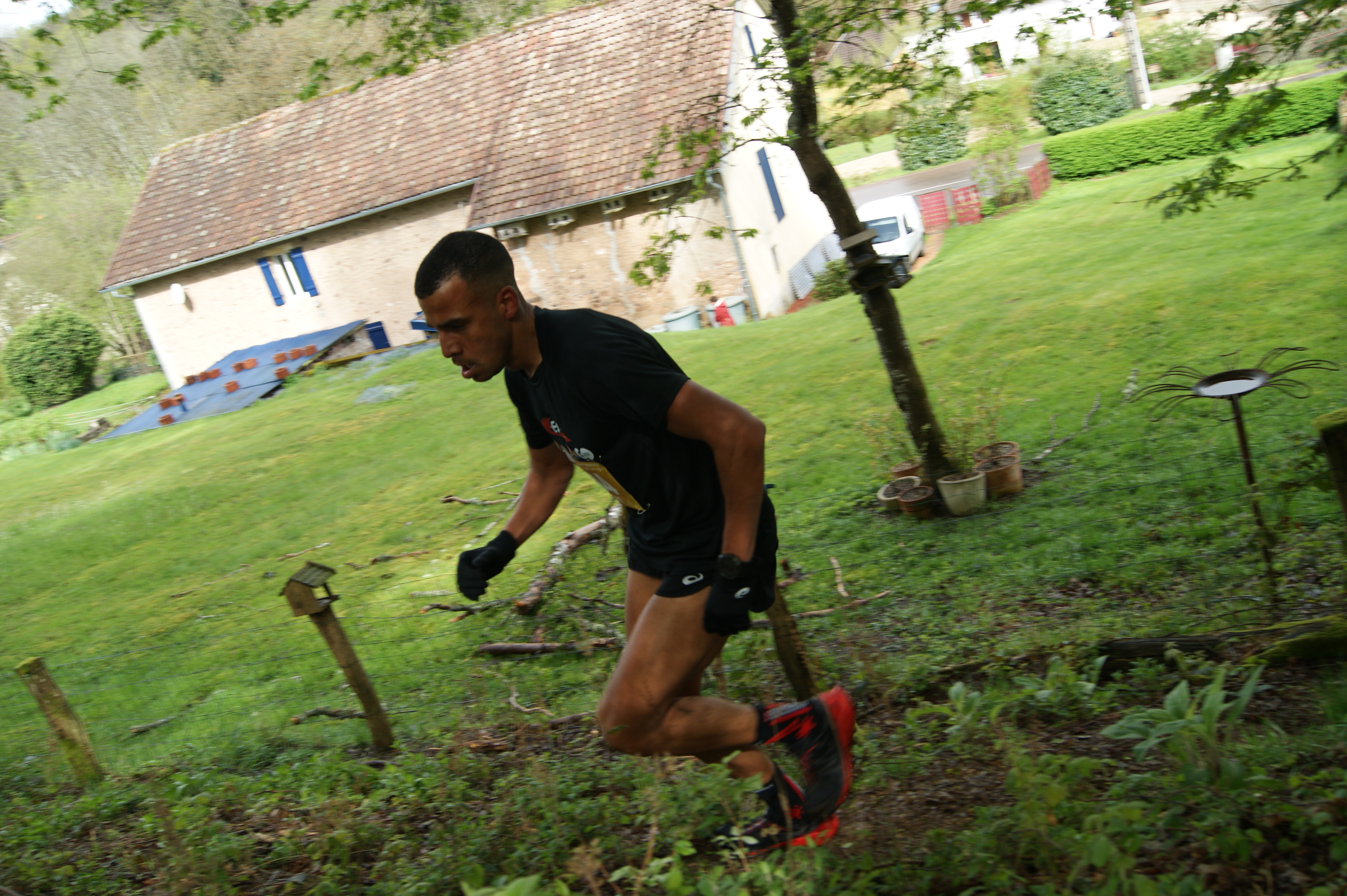 Image du trail