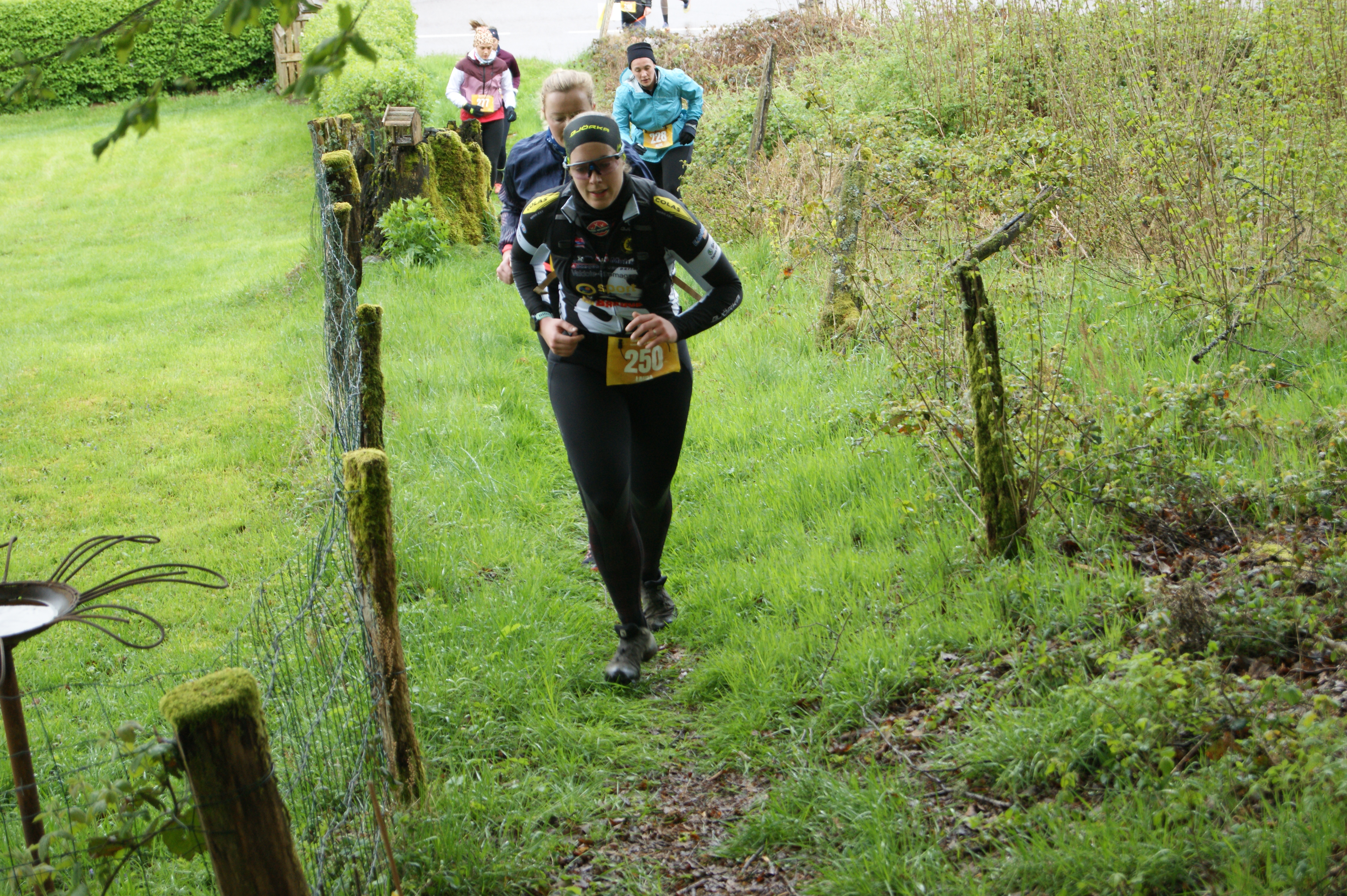 Image du trail