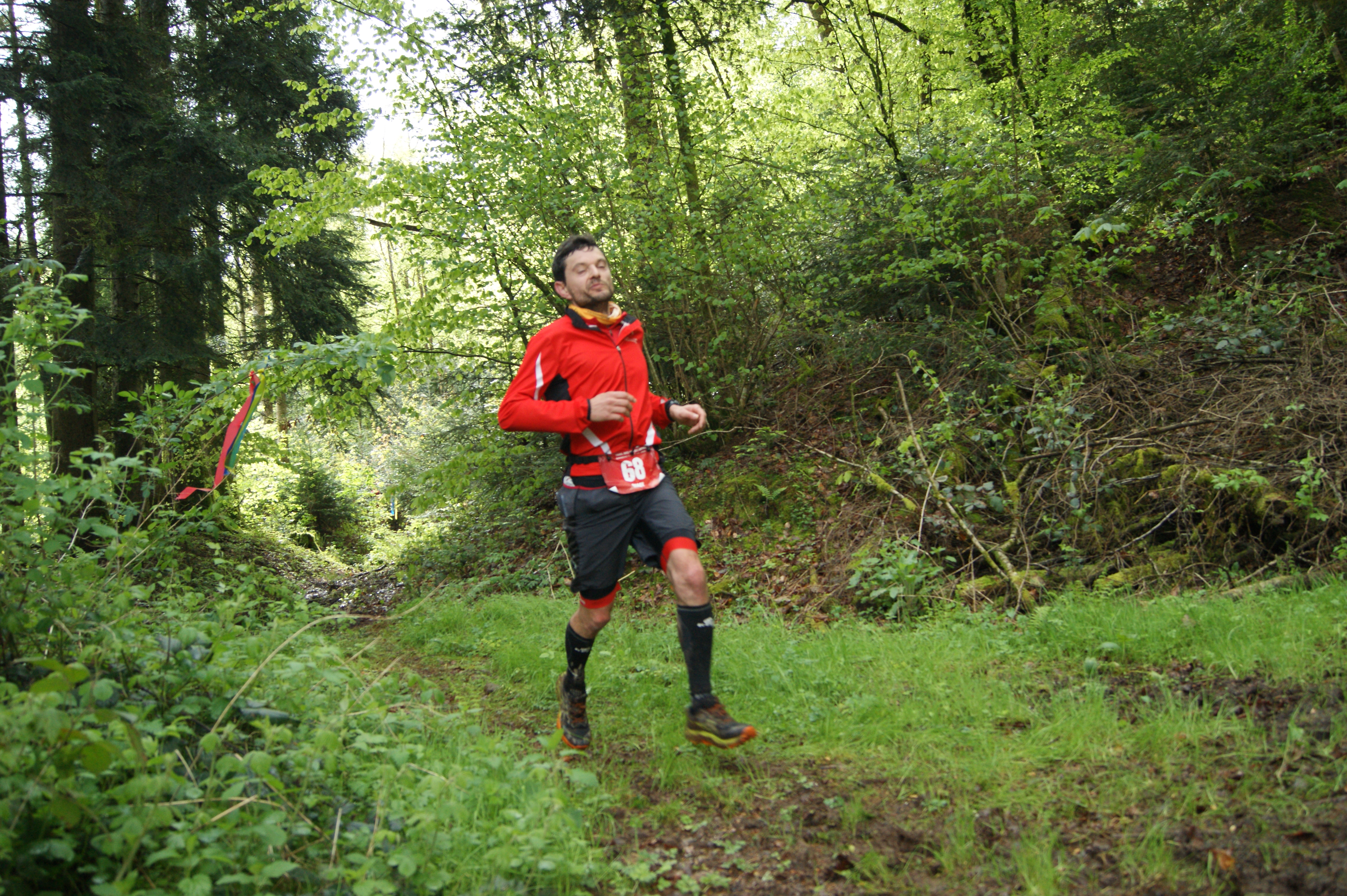 Image du trail