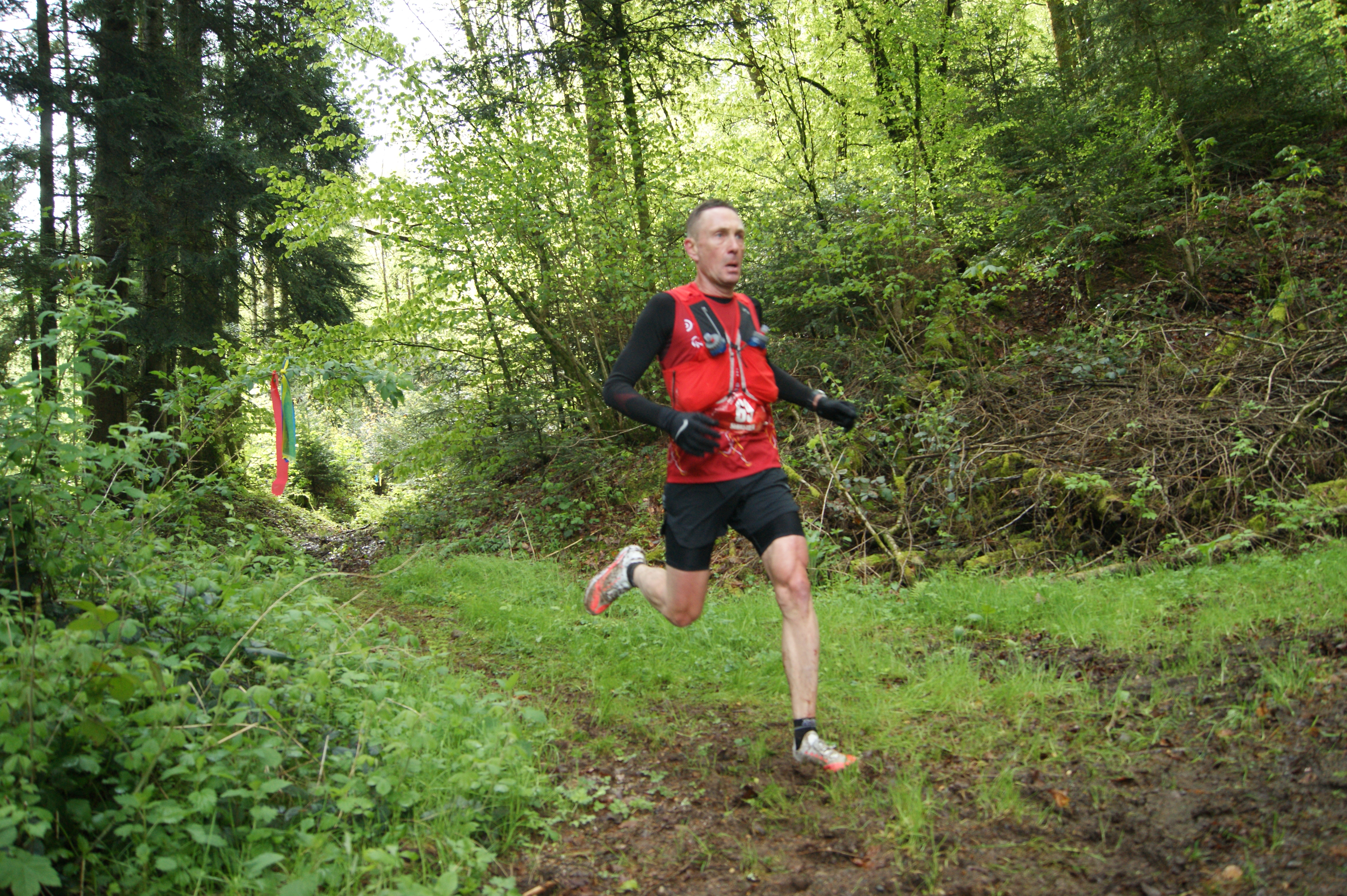 Image du trail