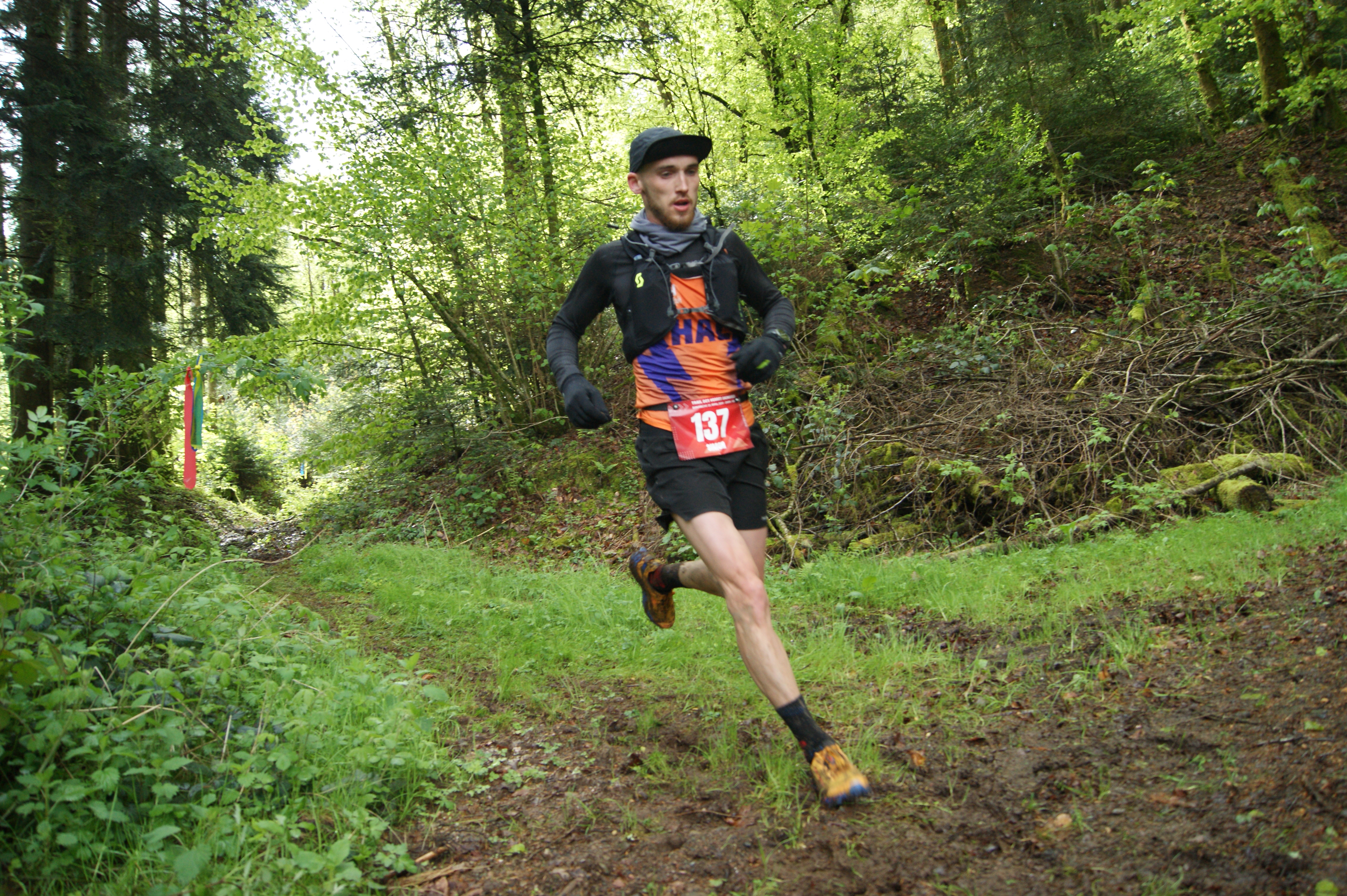 Image du trail