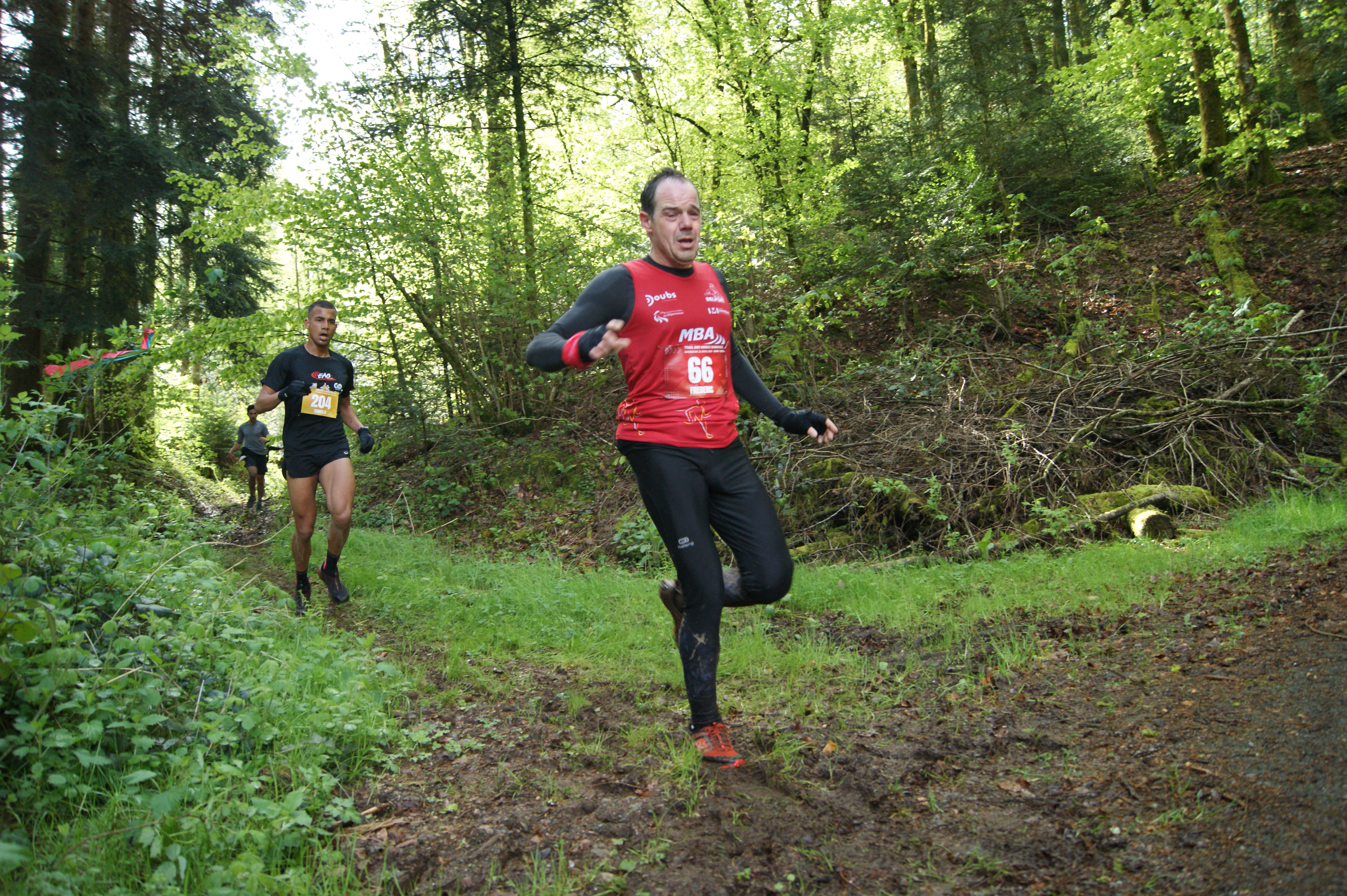 Image du trail