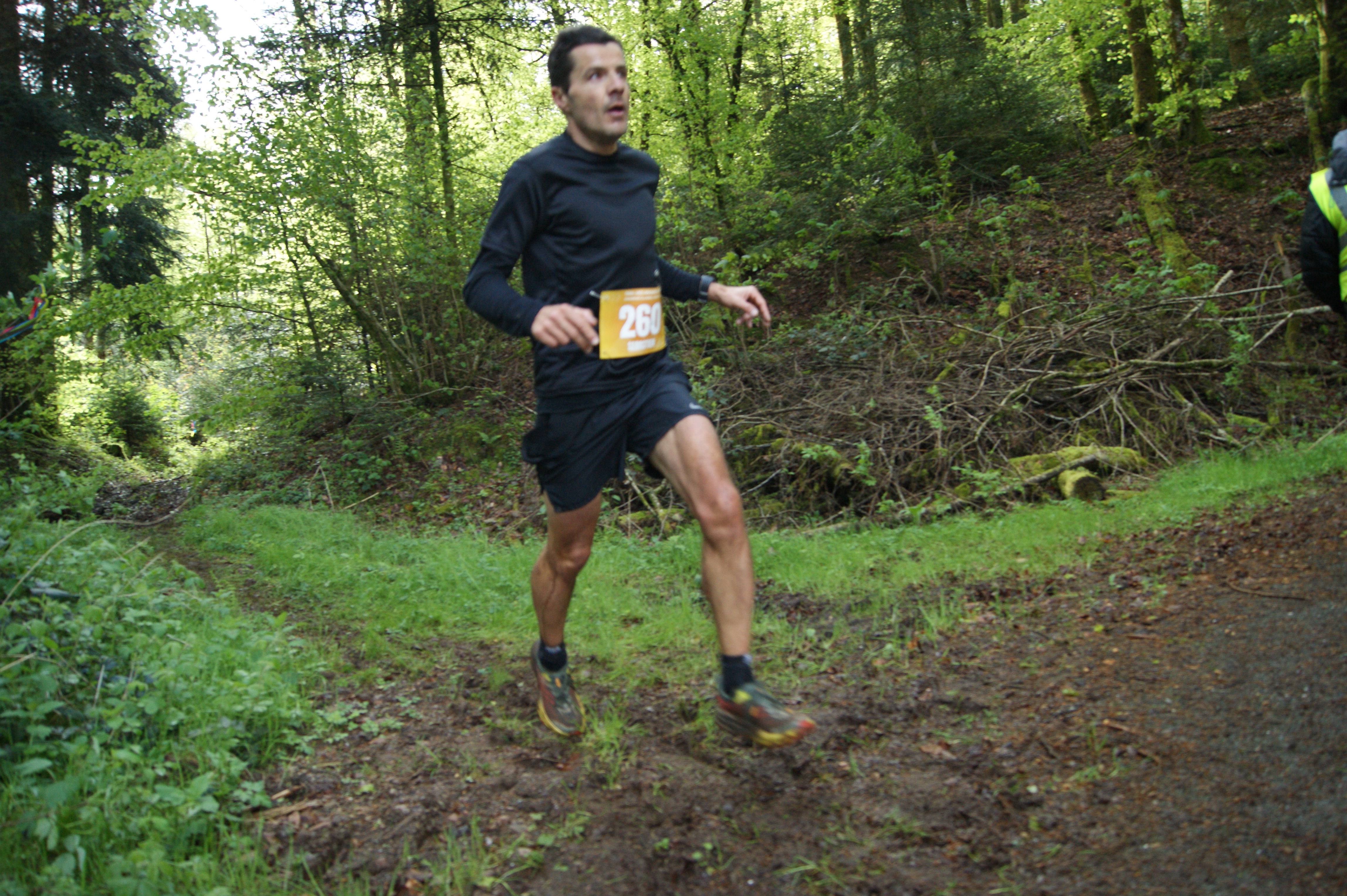 Image du trail