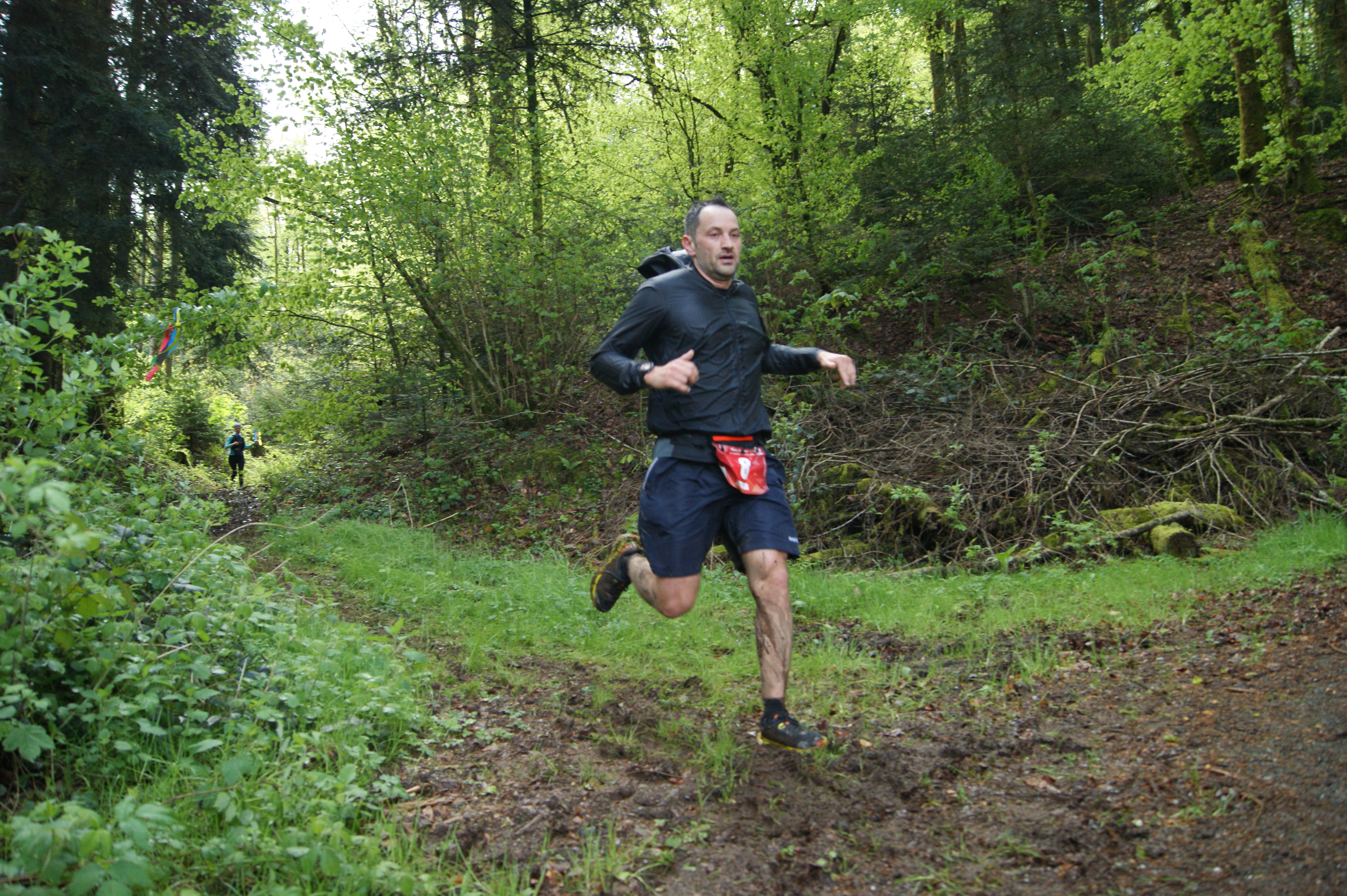 Image du trail