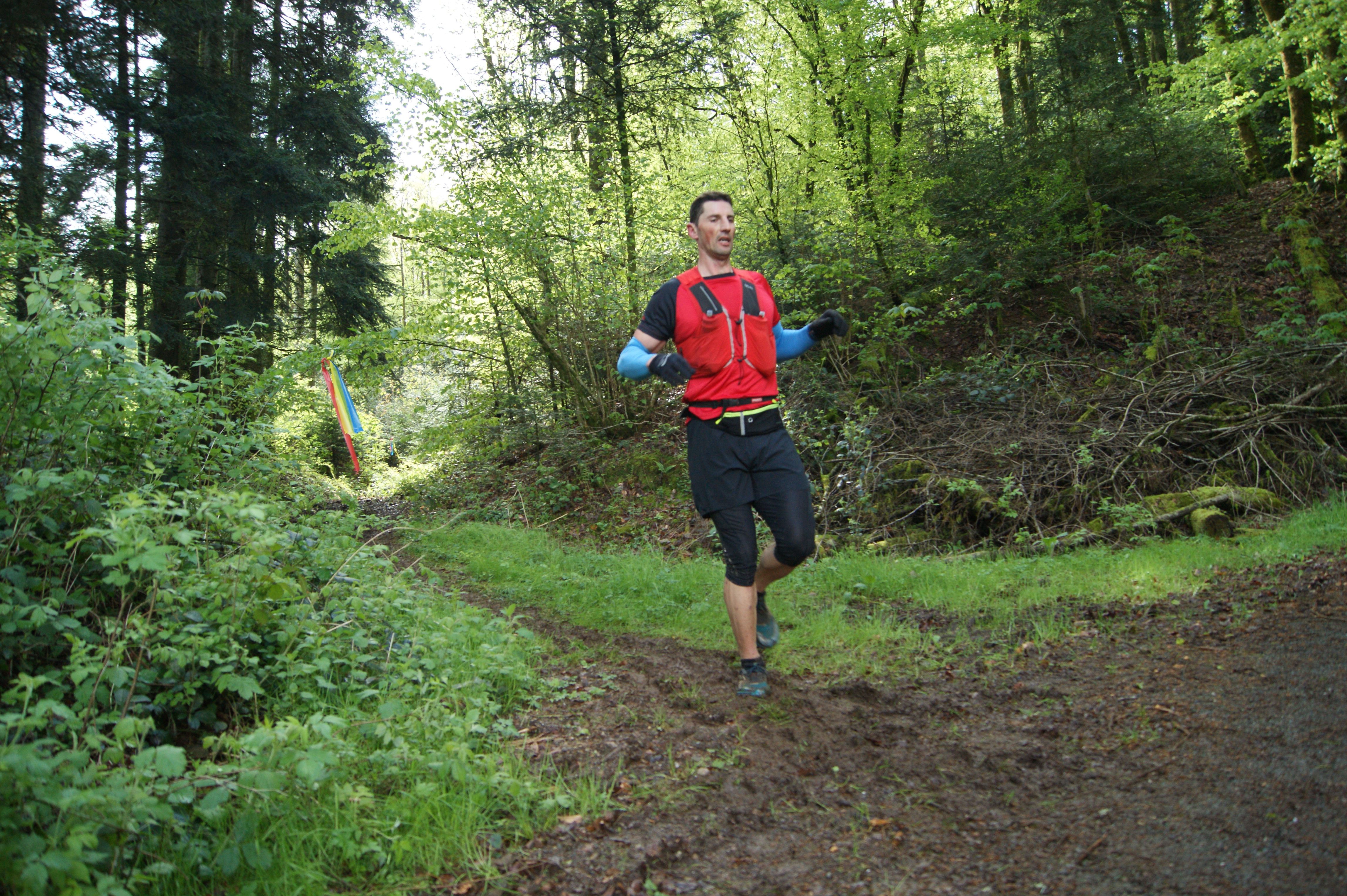 Image du trail