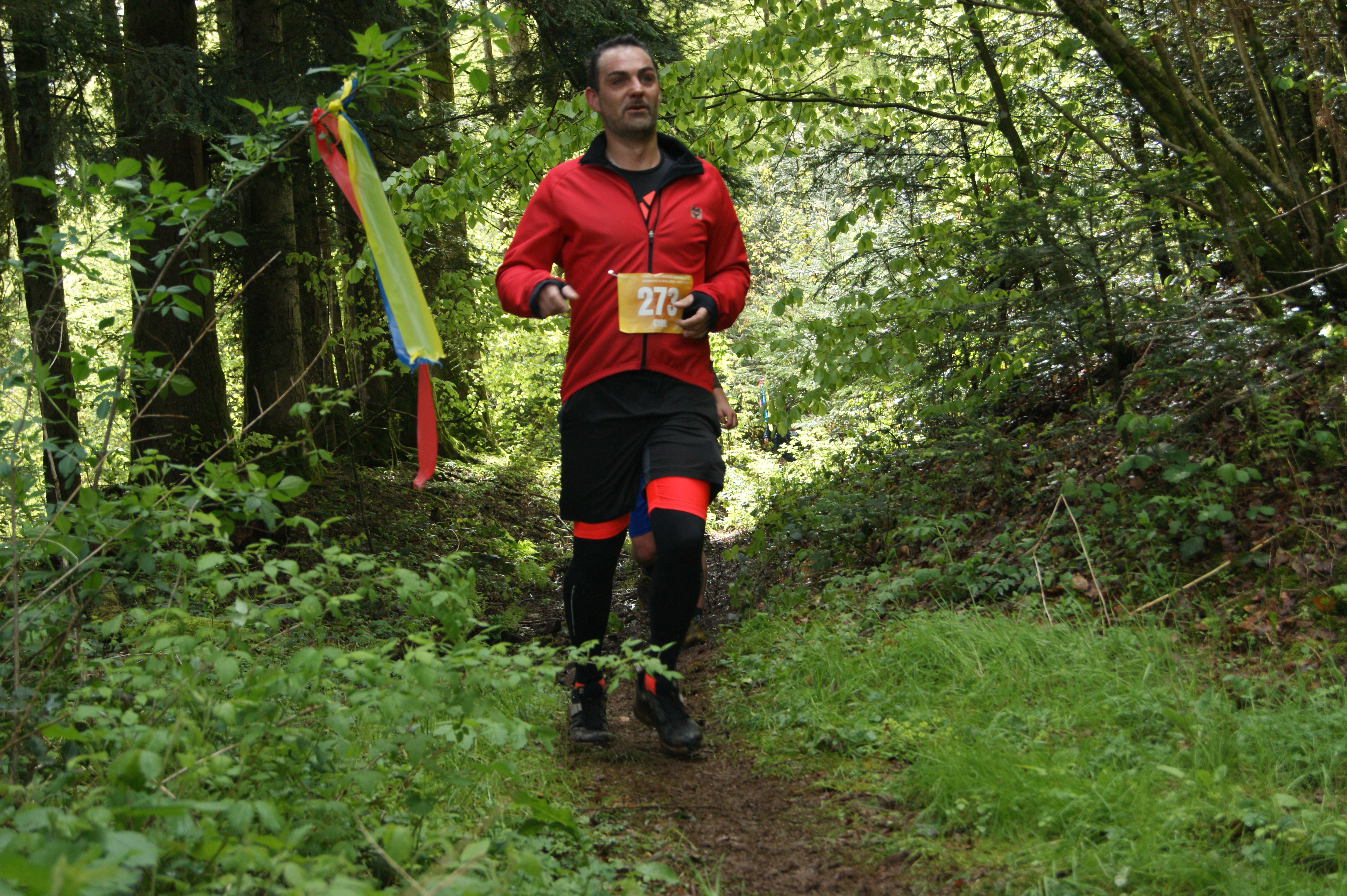 Image du trail